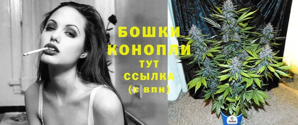 спиды Горнозаводск